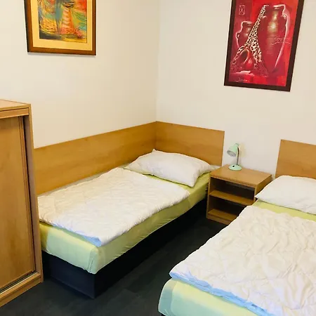 Apartma Rokytno דירה