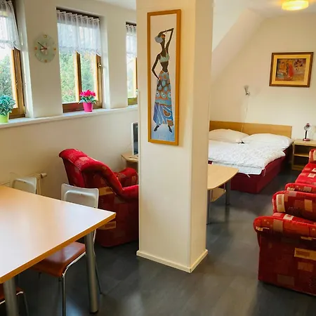 Apartma Rokytno *